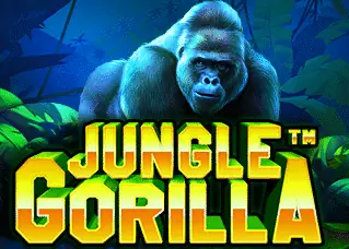 siambet88 Jungle Gorilla ทดลองเล่นฟรี